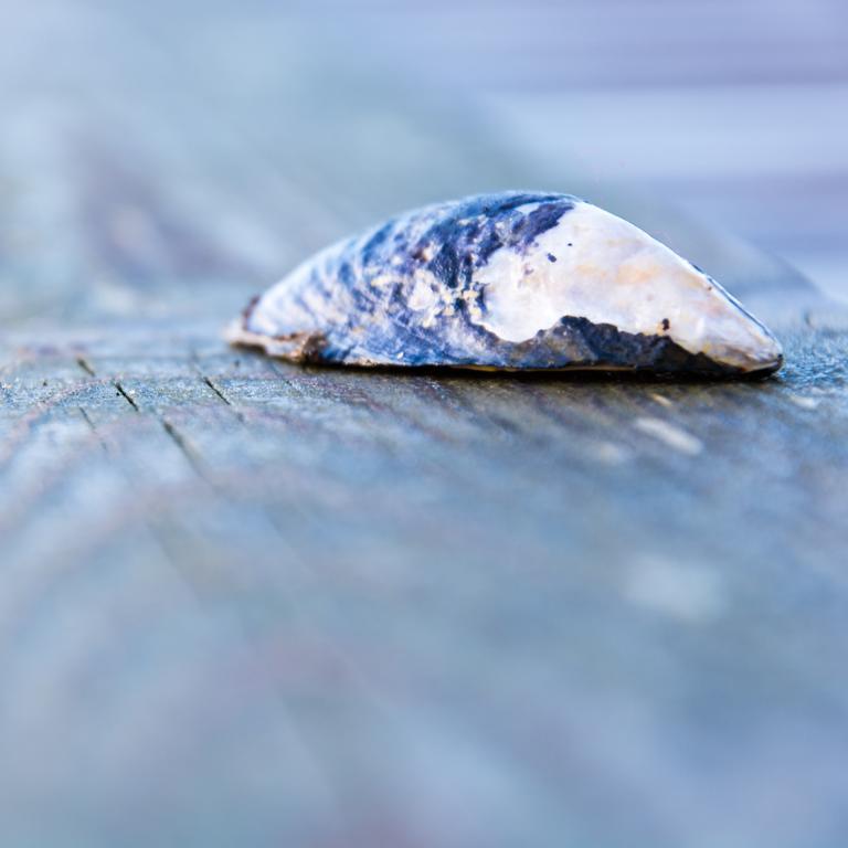 Seläter Camping Stromstad Bagian luar foto